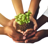 closeup-shot-of-a-group-of-unrecognizable-people-h-2023-11-27-05-19-39-utc-removebg-preview (3)