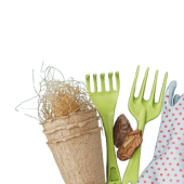 gardening-accessories-on-a-rustic-wooden-backgroun-2023-11-27-05-11-25-utc-removebg-preview