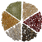 legumes-arranged-in-a-circle-on-the-black-cement-f-2025-01-16-13-53-27-utc-removebg-preview